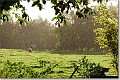 Zon en regen in de Achterhoek